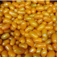 Tomater Orange Cherryblomme, 4 kg Greens