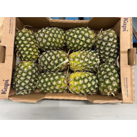 Ananas sweet Crownless, 10stk 14kg Greens