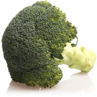 ØKO Broccoli 12*350 g, Kasse