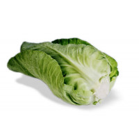 ØKO spidskål Grøn, 10 stk Greens
