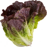 ØKO hjertesalat Rød, 12*2 stk