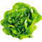 Salat alm. salathoved, 12 stk.