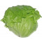 ØKO iceberg salat, 10 stk. Greens