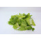 Romaine Salat Snittet 40mm 1 kg kg