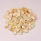 Knoldselleri Tern 20*20mm kg