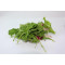 Street salat(Romaine45%/Radicchio10%/Rucola45%) kg