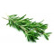 Rosmarin frisk, ca. 60 g