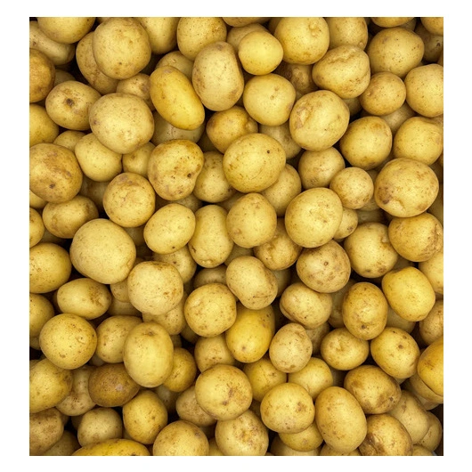 Kartofler Vaskede pittet 15-20mm, 7 kg