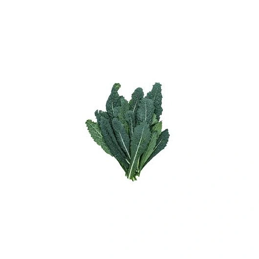 Palmekål/sortkål, 8*500gr