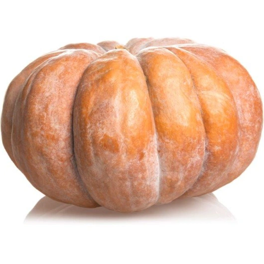 Græskar muskat, 4-5 kg