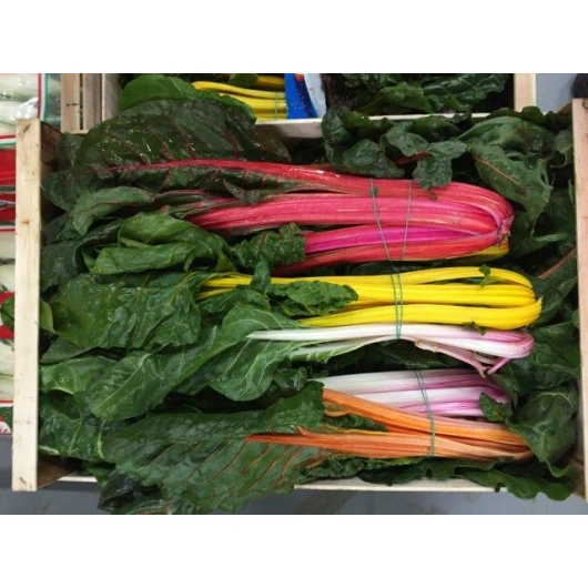 Sølvbeder Mix farver IT Kasse