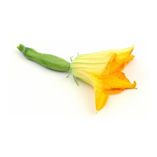 Squashblomst/courgette fleur, 15 stk.