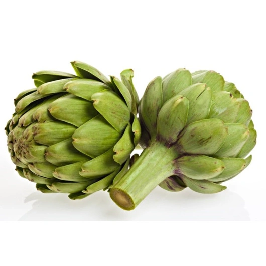 Artiskokker, 15 stk.