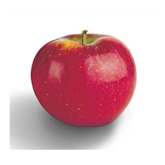 Æbler red relicious ca. 84 stk