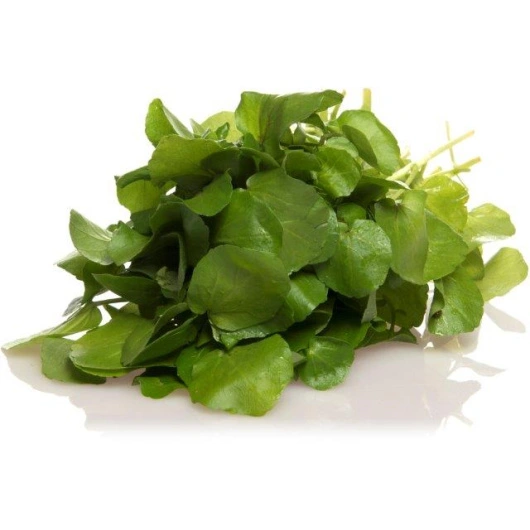 Brøndkarse vild, 3 kg