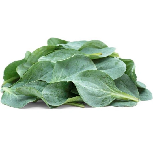 Cress Oyster Leaves (Hestetunge), 2*50 g Greens