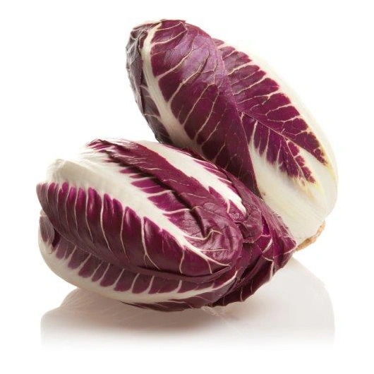 Salat  Traviso, 3 kg