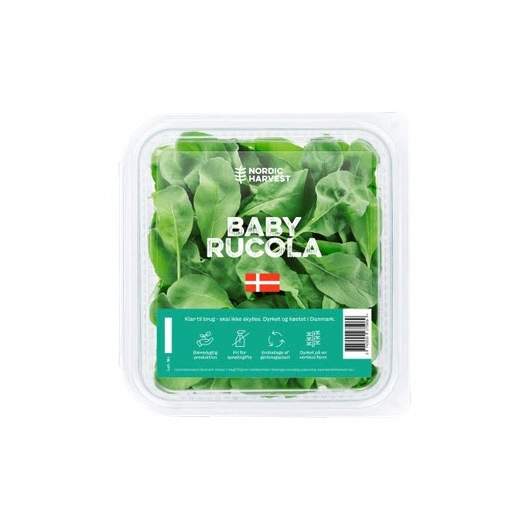 Rucola Baby, 500gr Nordic harvest