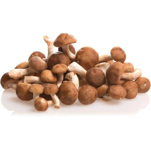 Shiitake, små 2kg FIN FI i kg Kasse