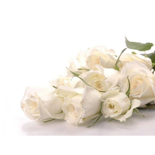 Roser Hvide 10stk. pr. bundt. Bundt
