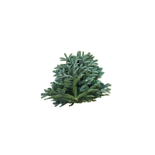 Gran Nobilis 5kg Bundt