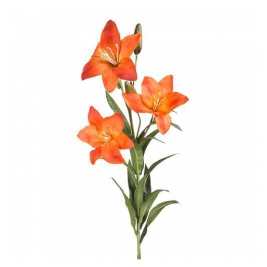 Liljer Orange lange i stk. 10stk