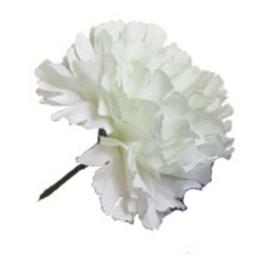 Nelliker hvide 20stk/bundt Bundt