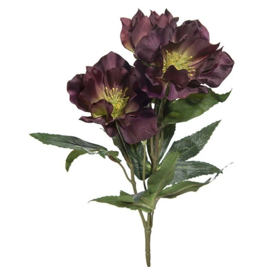 Jule rose, bordeaux, 6*1 potter,