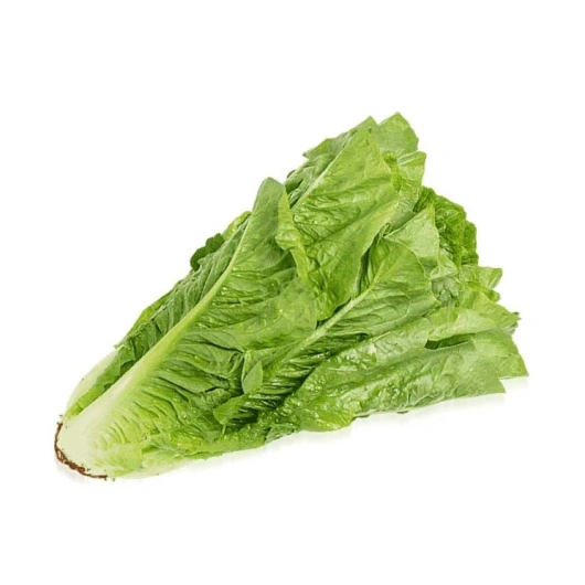 ØKO Salat Romaine, stk Greens