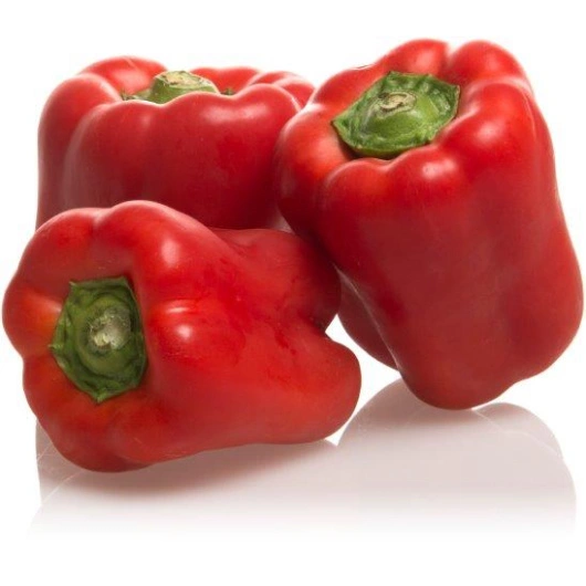 ØKO Peber Rødpeber kg