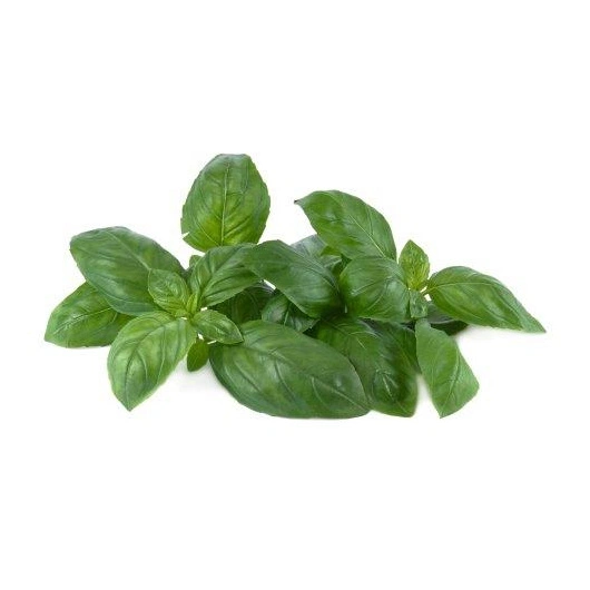 ØKO basilikum, 30 g