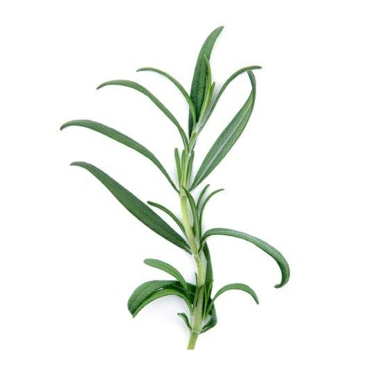 ØKO rosmarin, 50 g Greens