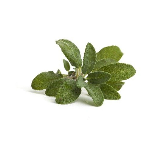 ØKO salvie, 1 kg