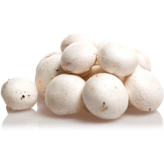 ØKO Champignon 2,5 kg ks