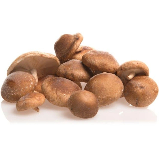 ØKO shiitake, 2 kg
