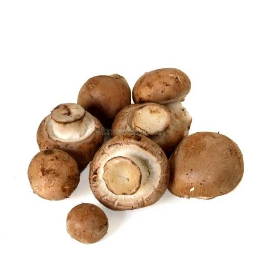 ØKO Champignon Mark 2,5 kg  i ks