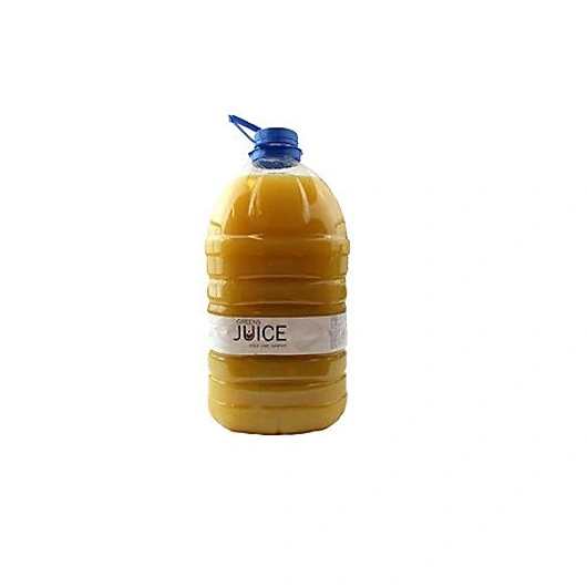 Æble/Ingefær/Lime Juice Friskpresset 5 Liter, stk.