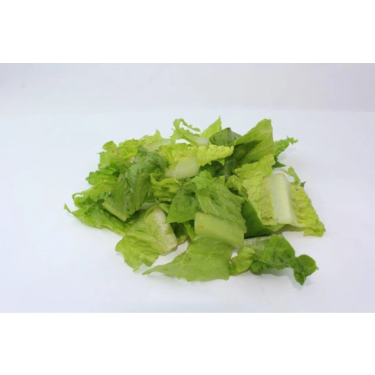 Romaine Salat Snittet 40mm 1 kg kg