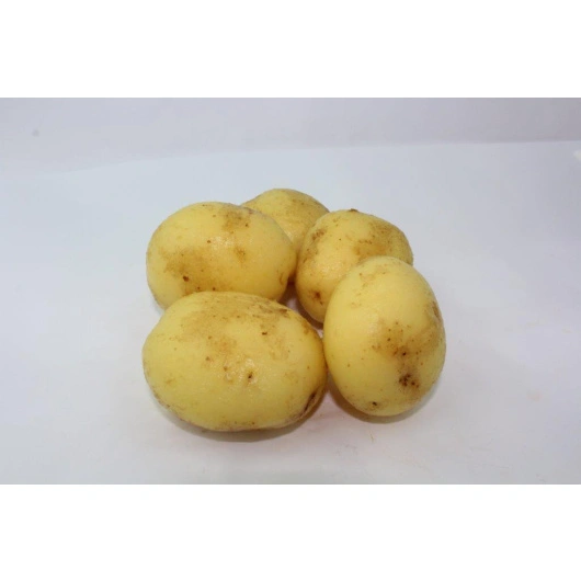 Kartofler jævne raspede 5kg