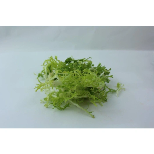 Frisesalat  Fransk  skyllet 1 kg kg