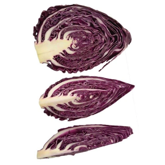 ØKO Spidskål Lilla med stok 1/8 Kasse