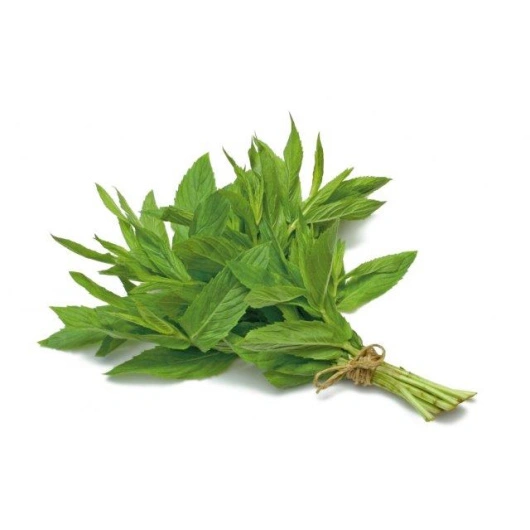 Mynte frisk, ca. 60 g