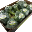 Broccoli, 10*500 g
