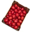 Tomater flaske, 5 kg
