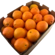 Appelsin blod Cara cara, 15 kg Greens