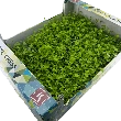Cress Persinette, Kasse