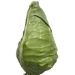 Spidskål ca. 1 kg i stk. DK