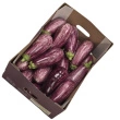 Auberginer " Graffiti ", 5kg Greens