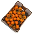 Tomater Marmande, ca. 3,50 kg
