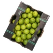 Lime presse, 4 kg